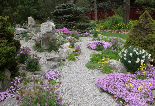 Taman dengan Batu Karang dan Tanaman Asli